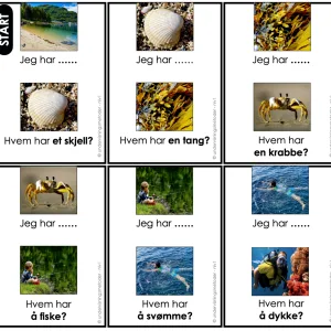 LOOP: Årstiden sommer – Jeg har, hvem har?