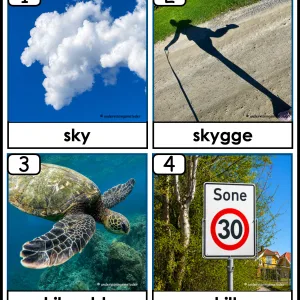 HENTEDIKTAT: Ord med skj-lyd