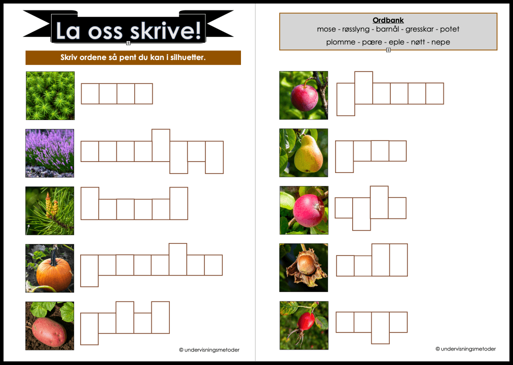 la oss skrive 3 4 host