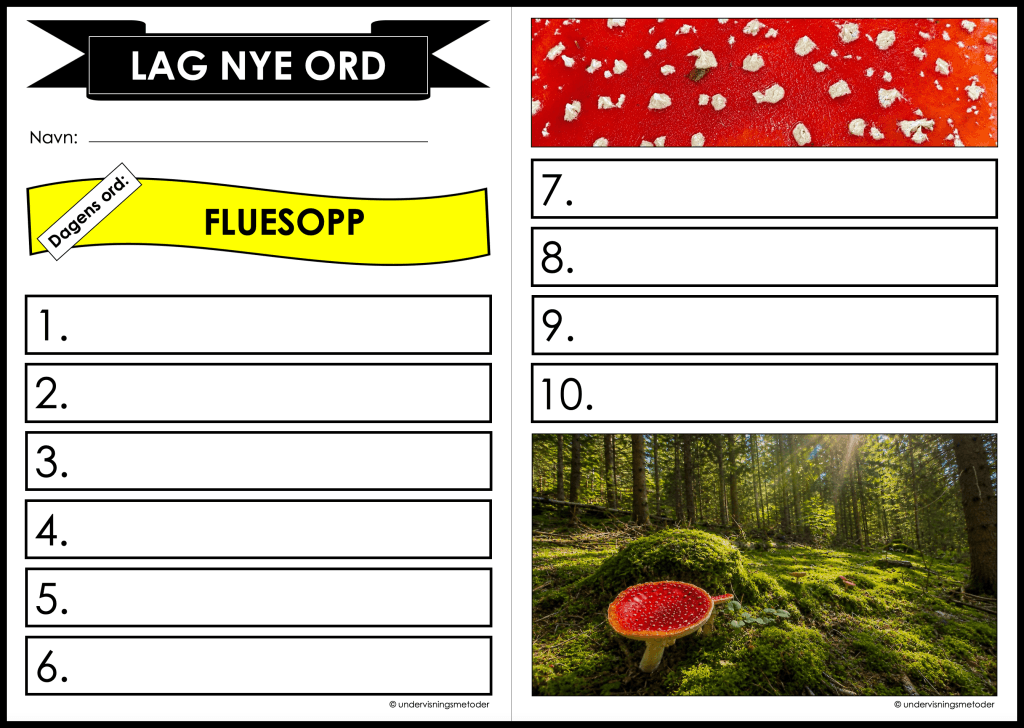 lag nye ord fluesopp