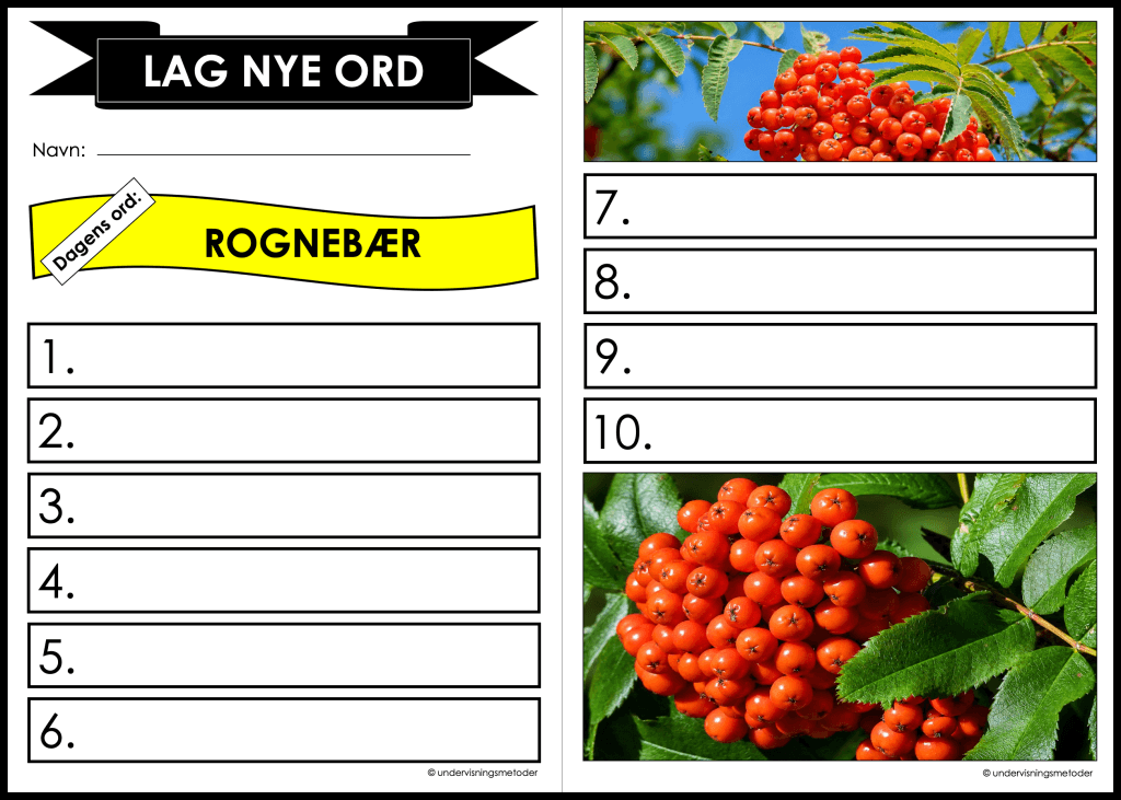 lag nye ord rognebar