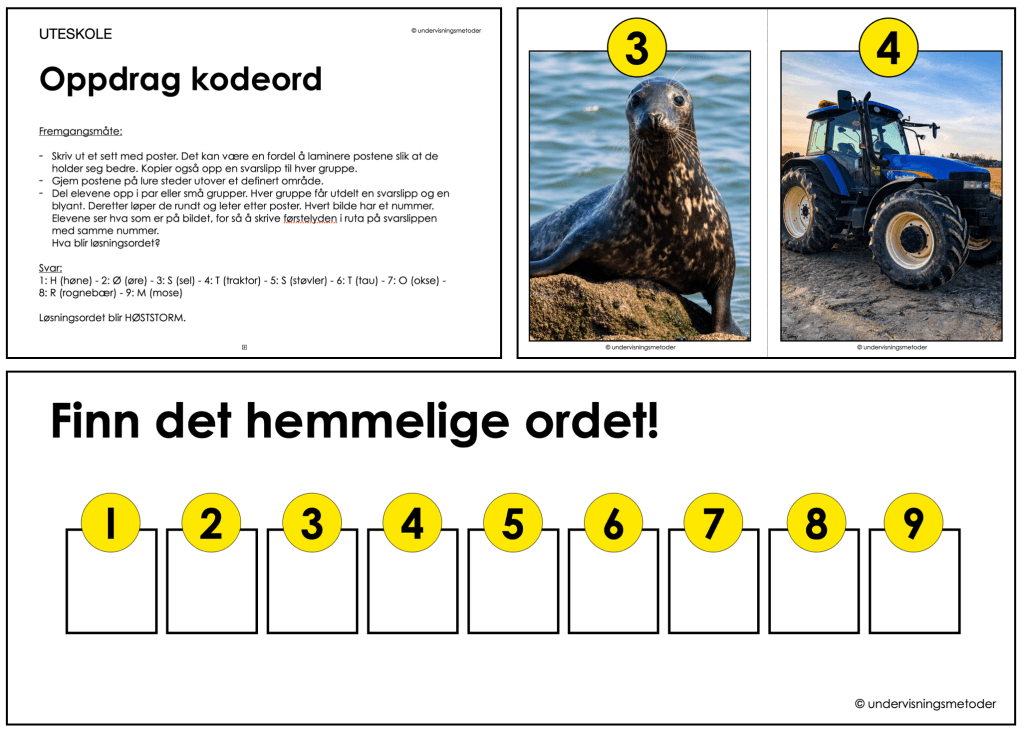 oppdrag kodeord hoststorm