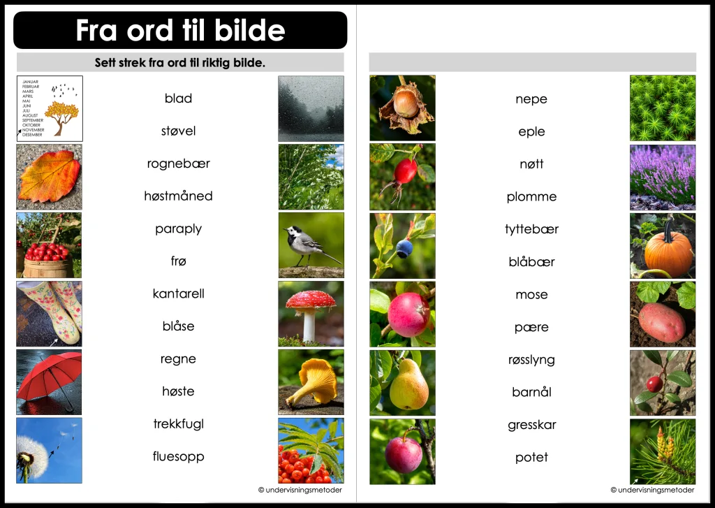 ord til bilde host