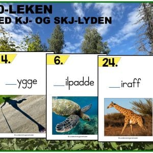 UTESKOLE – 50-LEKEN: Kj- og skj- lyden