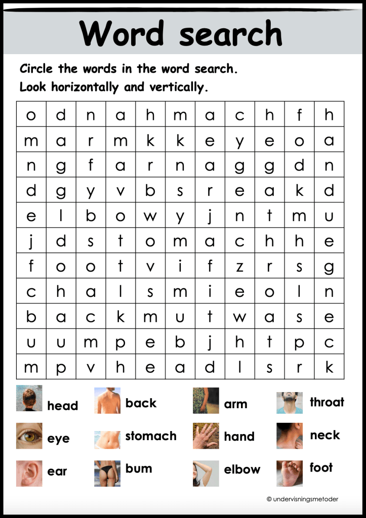 The body 3 eng word search body parts