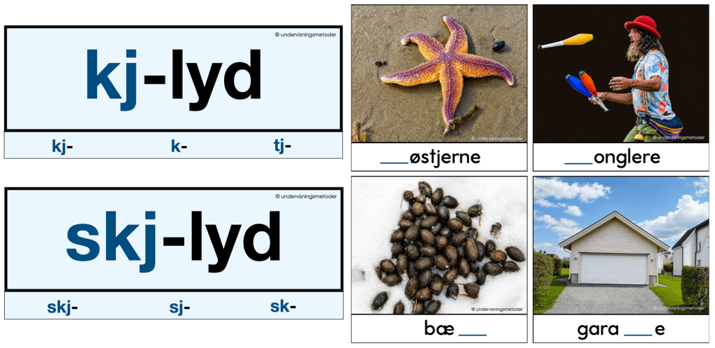 Kj- og skj- lyden 7 sorteringsaktivitet3 kj skj