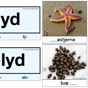 SORTERINGSAKTIVITETER MED MER: kj- og skj-lyden