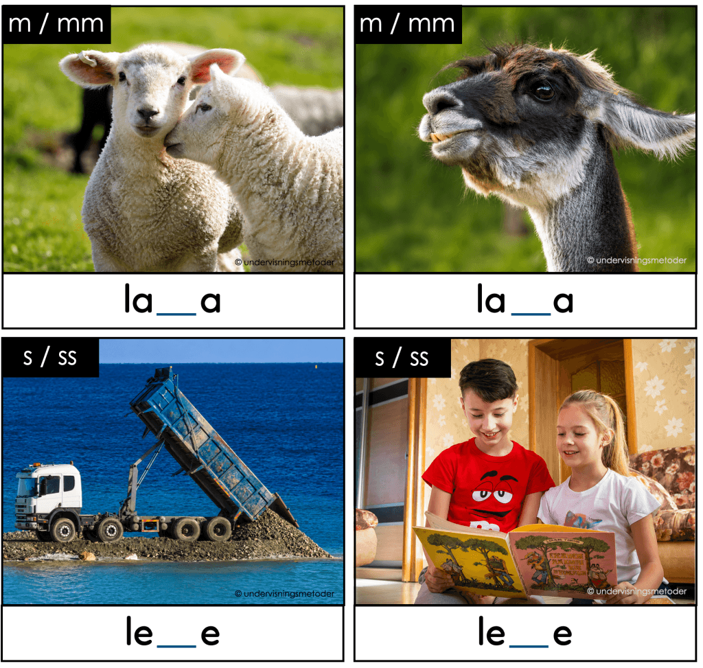 Enkel og dobbel konsonant 2 sorteringsaktivitet minimale par