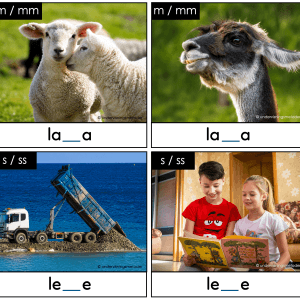 SORTERINGSAKTIVITET MED MER: minimale par - enkel og dobbel konsonant