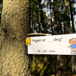 LESELØYPER – de 100 mest brukte høyfrekvente ordene